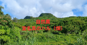 自然農・アグロフォレストリー