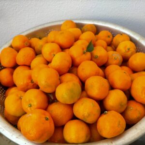 黄金(くがに）シークワーサー